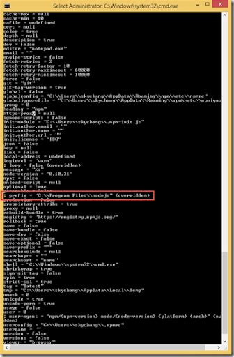 Image result for NPM Tutorial Windows