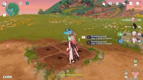 Genshin Impact Marcotte Locations & All Recipes [Until Update 4.0]