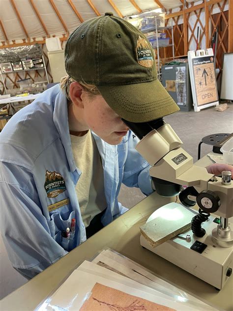 Openings at Conservation Legacy