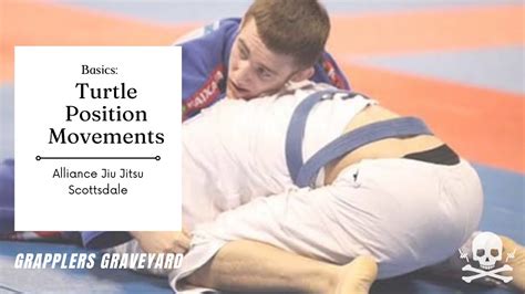 Image result for Turtleback Position