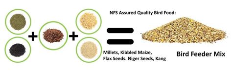 Nature Forever Bird Seeds Feeder Mix For All Life Stages, Millet, 900g ...