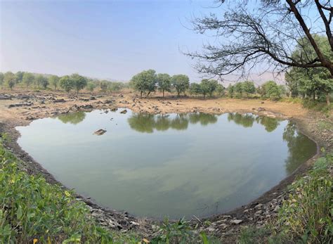 Tarun Bharat Sangh Case Study | Johad Water Harvesting | CEEW