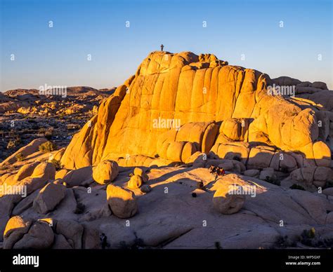 Landscape in Joshua Tree National Park, California, USA, where the Mojave and Colorado desert ...
