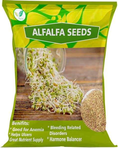 Iagrifarm Organic Alfalfa Sprouting Seeds - 1 Kg/Perfect for Sprouting ...