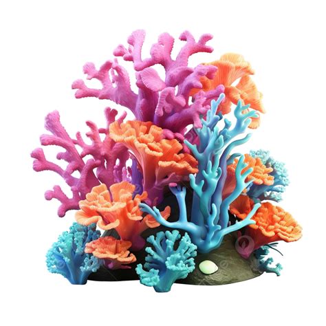 Coral Reef 3d Render Illustration, Coral Reef, Animal, Creature PNG ...