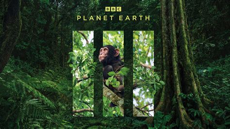 Planet Earth III Episode 5 Forests - Everything you need to know