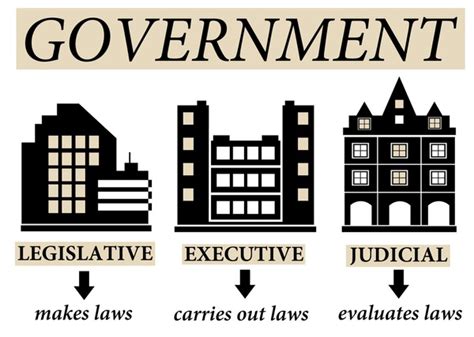 Basic Government Structure 的图像结果