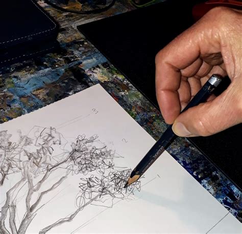 Sketching Tree Limbs 的图像结果