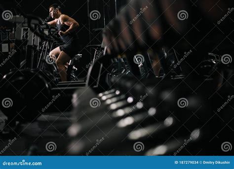 Image result for Strongman Simulator Working Out
