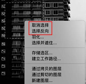 PS选区反选如何操作- 虎课网