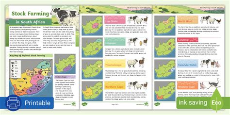 Livestock Farming in South Africa I Resource I Twinkl ZA