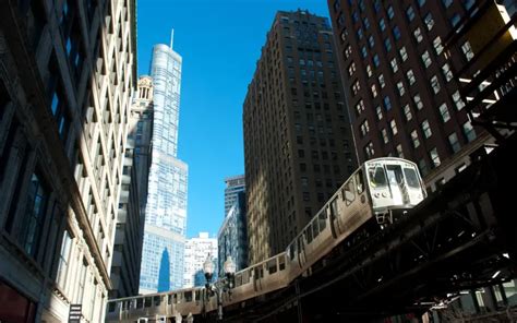 Calgary Office | Critical Mass