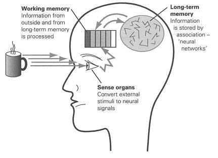 Process Information 的图像结果