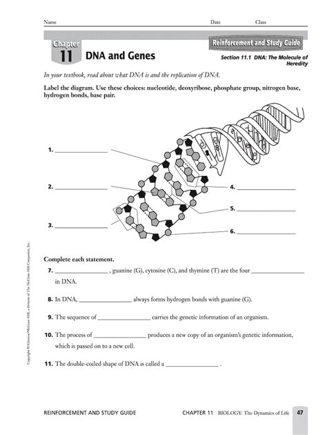 DNA and Genes Study Guide - Blank Fillable Template | Fill Out, Print ...