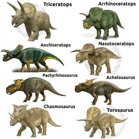 Ceratopsia Dinosaurs Dinossauros Dinosaurios | Dinosaur images, Cute animals, Dinosaur fossils