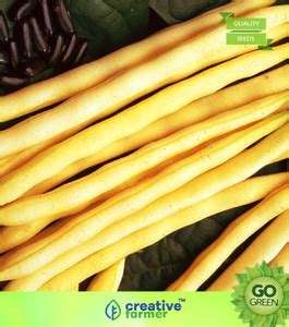 creative farmer Vegetable Seeds French Baby Filet Wax Bean Seeds ...