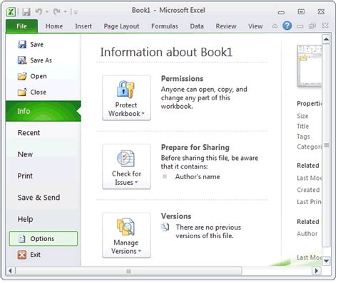 Adding Developer Tab in Excel 的图像结果