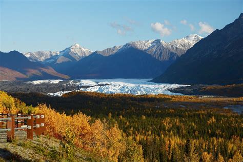 8 Best Spots for Ziplining in Alaska | Celebrity Cruises