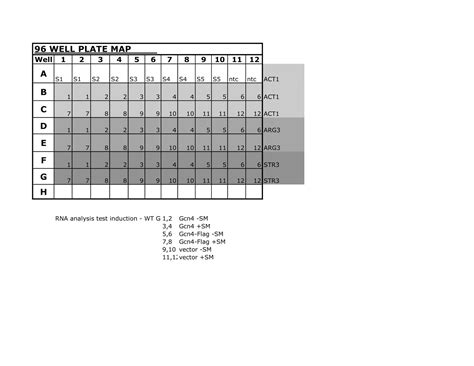 Free Printable 96 Well Plate Templates [Excel PDF, Word] Editable