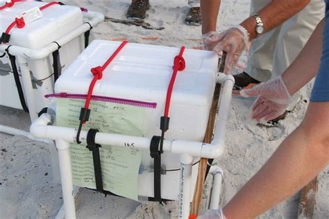 Scientific Container Types 的图像结果