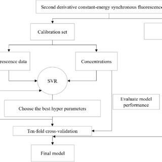 Building Anwing Model 的图像结果