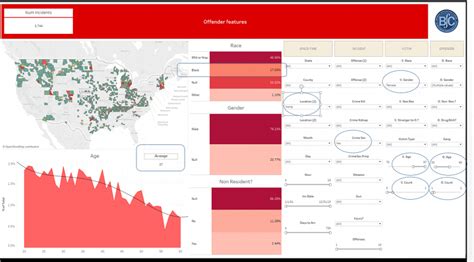 How to Use NIBRS 的图像结果