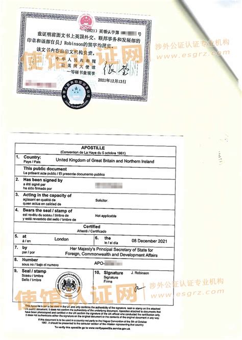 英国公民单身证明公证认证样本_样本展示_使馆认证网