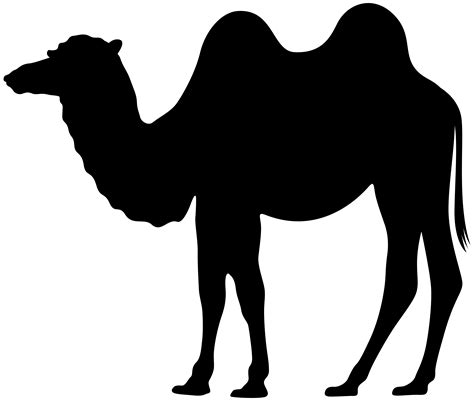 camels #3225615 | Clipart Library