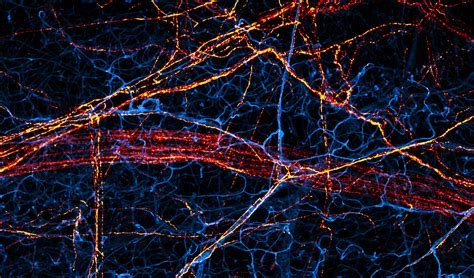 Home - W.M. Keck Foundation