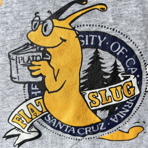 University Of Santa Cruz Logo SportsLogos.Net On X: "The UC Santa Cruz