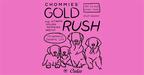 CHOMMIES Gold Rush, 110 Hatfield street, Gardens, Cape Town. , 8002 ...