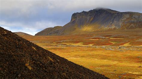 Island 的图像结果