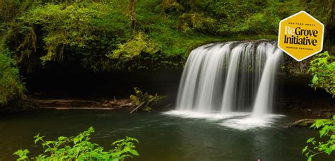 Heritage Grove Federal Credit Union | Now is your time to Stand Tall.