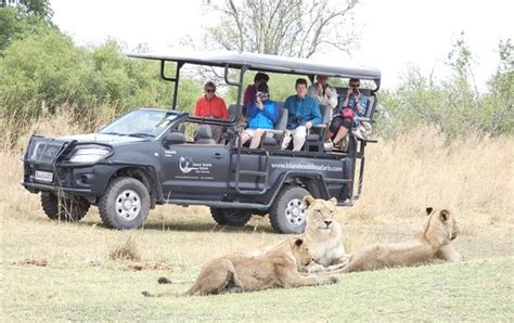 Island Mobile Safaris (Maun) - All You Need to Know BEFORE You Go
