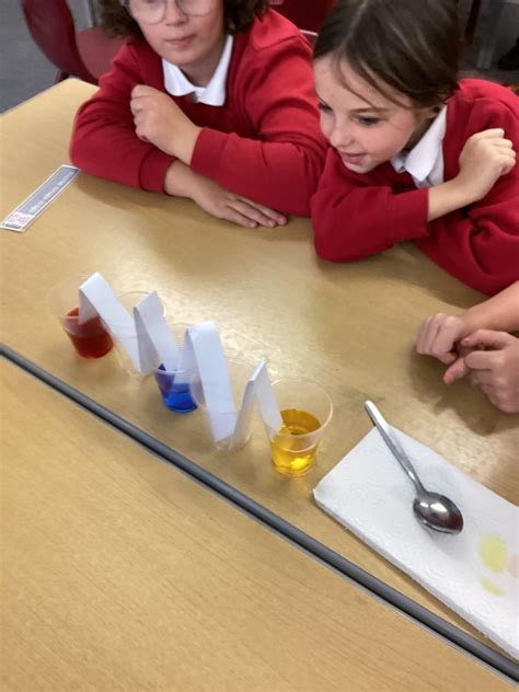 Primary School Science 的图像结果