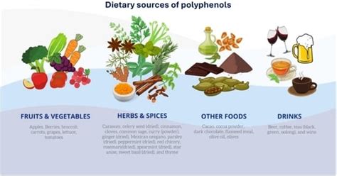 Dietary Intake of Polyphenols and All-Cause Mortality: A Systematic ...