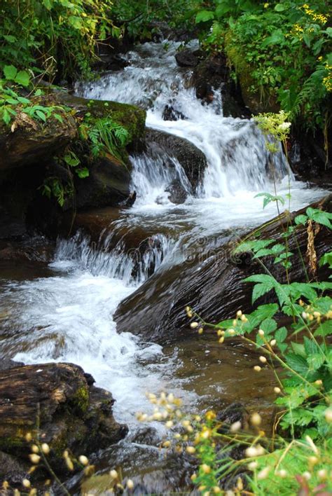 Image result for Mountian SpringSource