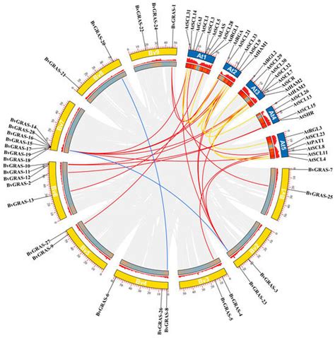 Genome-Wide Identification of GRAS Transcription Factors and Their ...