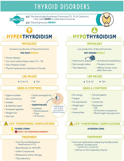 Hyperthyroidism vs Hypothyroidism - Symptoms & Treatment