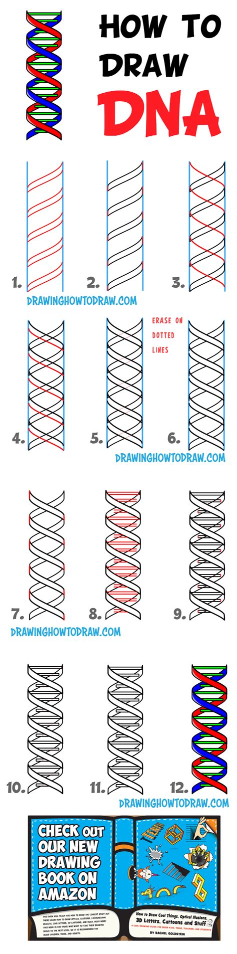 How to Draw DNA Double Helix Structure – Easy Step by Step Drawing ...
