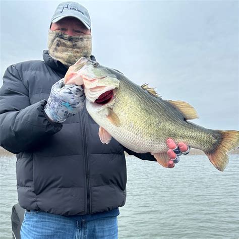 O.H. Ivie Lake Fishing Reports (February 2026)