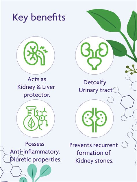 STONAWAY – Biotics Life Store