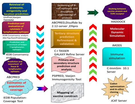 Vaccines | Special Issue : Genomic Medicine and Advances in Vaccine ...