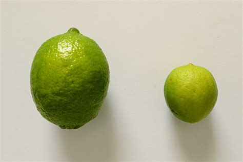 How to Make Your Own Lime Cordial (Rose's Lime Juice) - Jeffrey ...