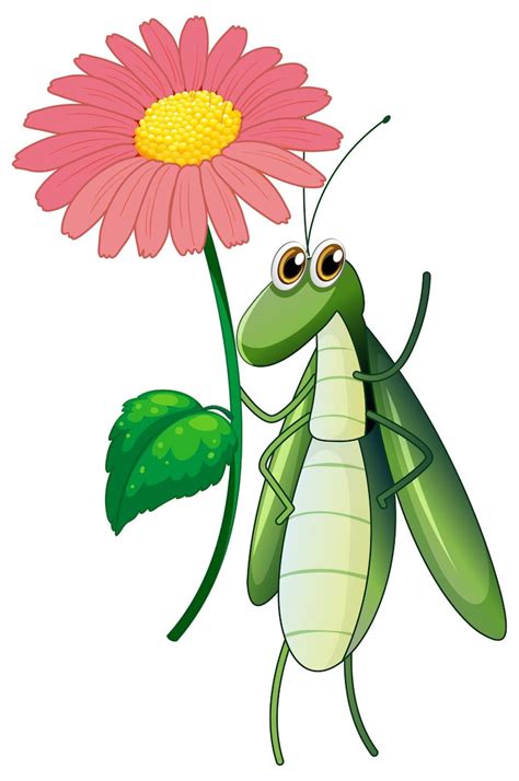 Grasshopper clip art Vectors - Download Free High-Quality Vectors from ...