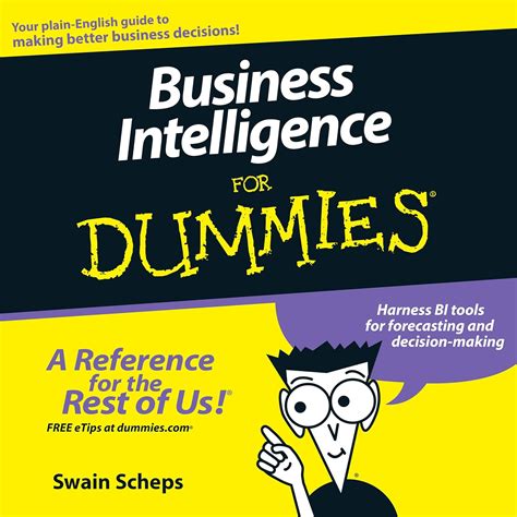 Business Intelligence for Dummies (Audio Download): Swain Scheps, Steve ...