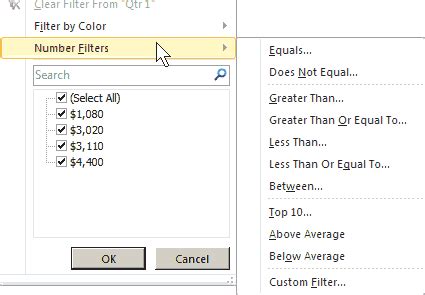 Image result for Basic Excel Filter Table