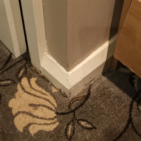 THE CARLTON HOTEL (Rugby) - Hotel Reviews, Photos, Rate Comparison ...