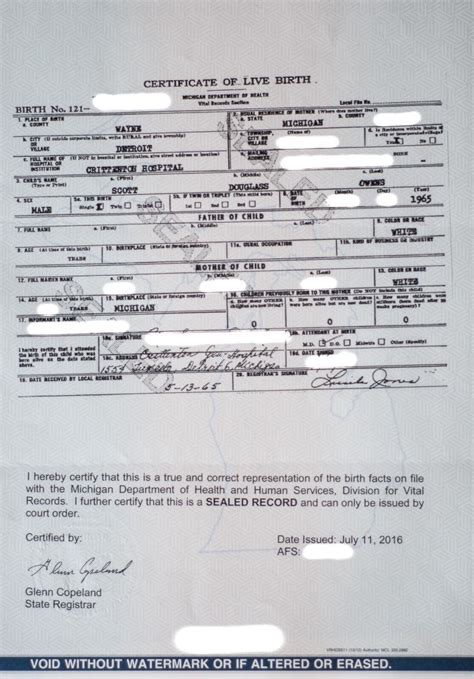 FAQS for Court Order Requests in Michigan for Original Birth ...