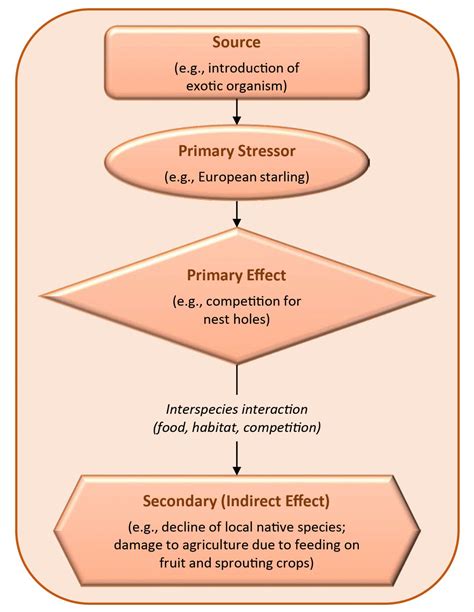 Biological Stress Examples 的图像结果